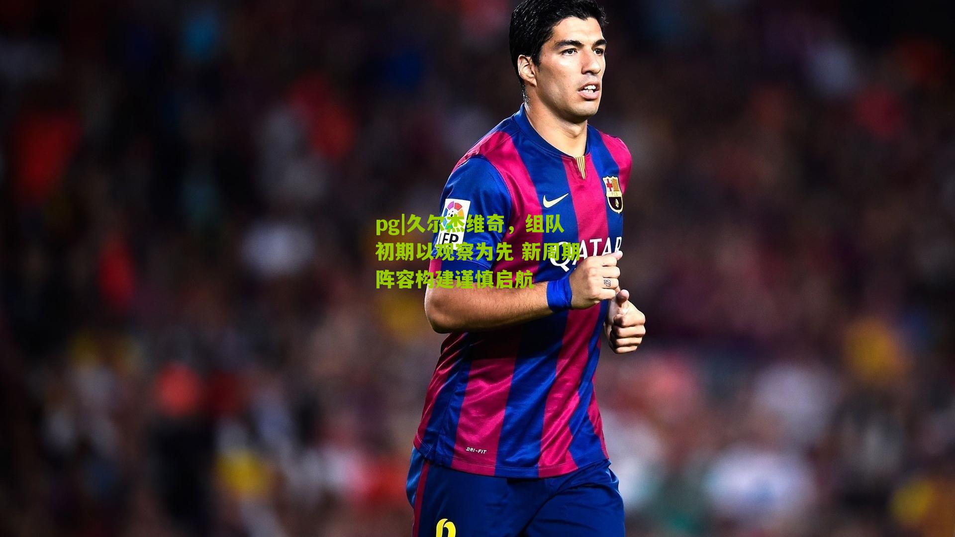 久尔杰维奇，组队初期以观察为先 新周期阵容构建谨慎启航